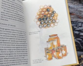 Illustrated Bee and Beekeeping guide - nature book