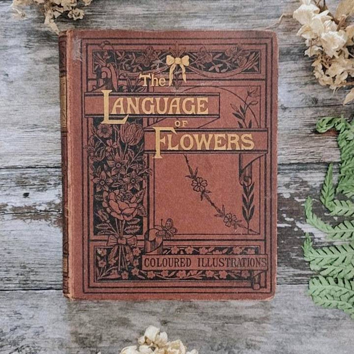 Victorian Language of Flowers Floral Emblems by Robert Tyas Etsy