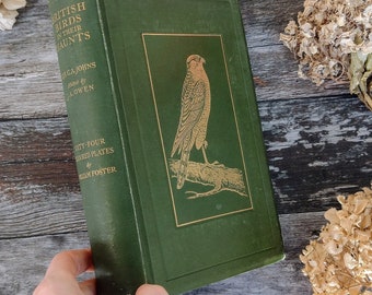 Antique Book of Natural History of Birds -  Illustrated Collectable Book