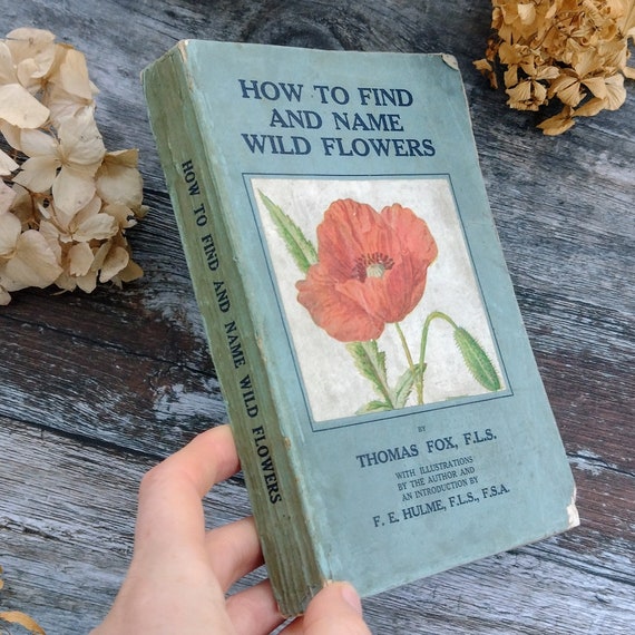 Illustrated Book of Wild Flowers