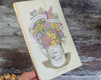 1940s Wildflowers of the Chalk Vintage book - Botanical Illustrated  Flower Guide