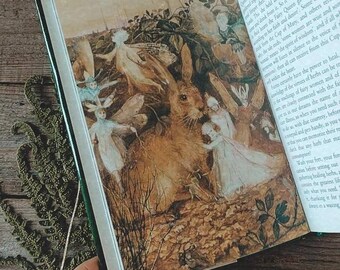 Fairies Spell Book - Fairy Paintings - Gift for artist  - Vintage Book - Botanical Book - Wildflowers