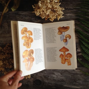 Op de afbeelding: Een handgemaakt houten bord met de tekst "Welcome" in een speels lettertype. Het bord heeft een verweerde witte achtergrond en een donkerbruine lijst, perfect voor een voordeur of entree.