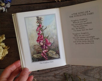 Complete Flower Fairies Collection Slipcase Containing Eight