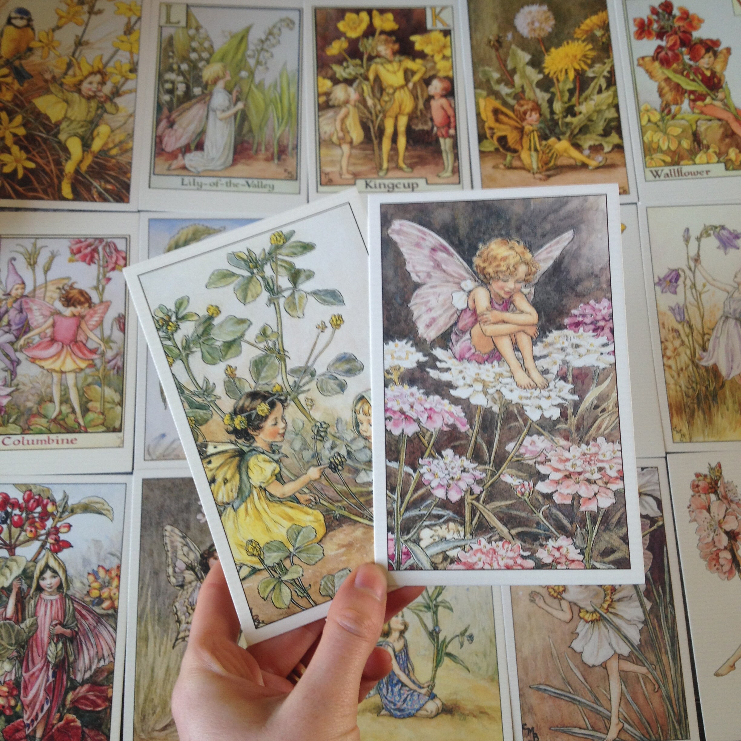 Flower Fairies Postcard Pack of 5 fairy Ephemera Scrapbook Etsy