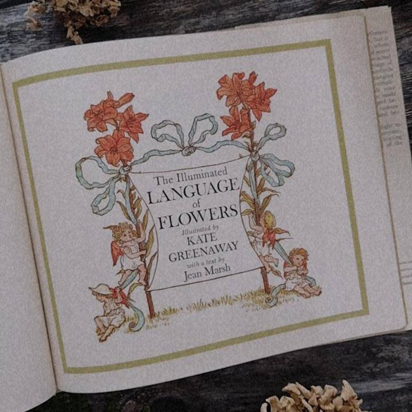Language of Flowers by Kate Greenaway Illustrated vintage Etsy