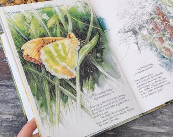 Vintage Book - Illustrated Journal - Nature Guide