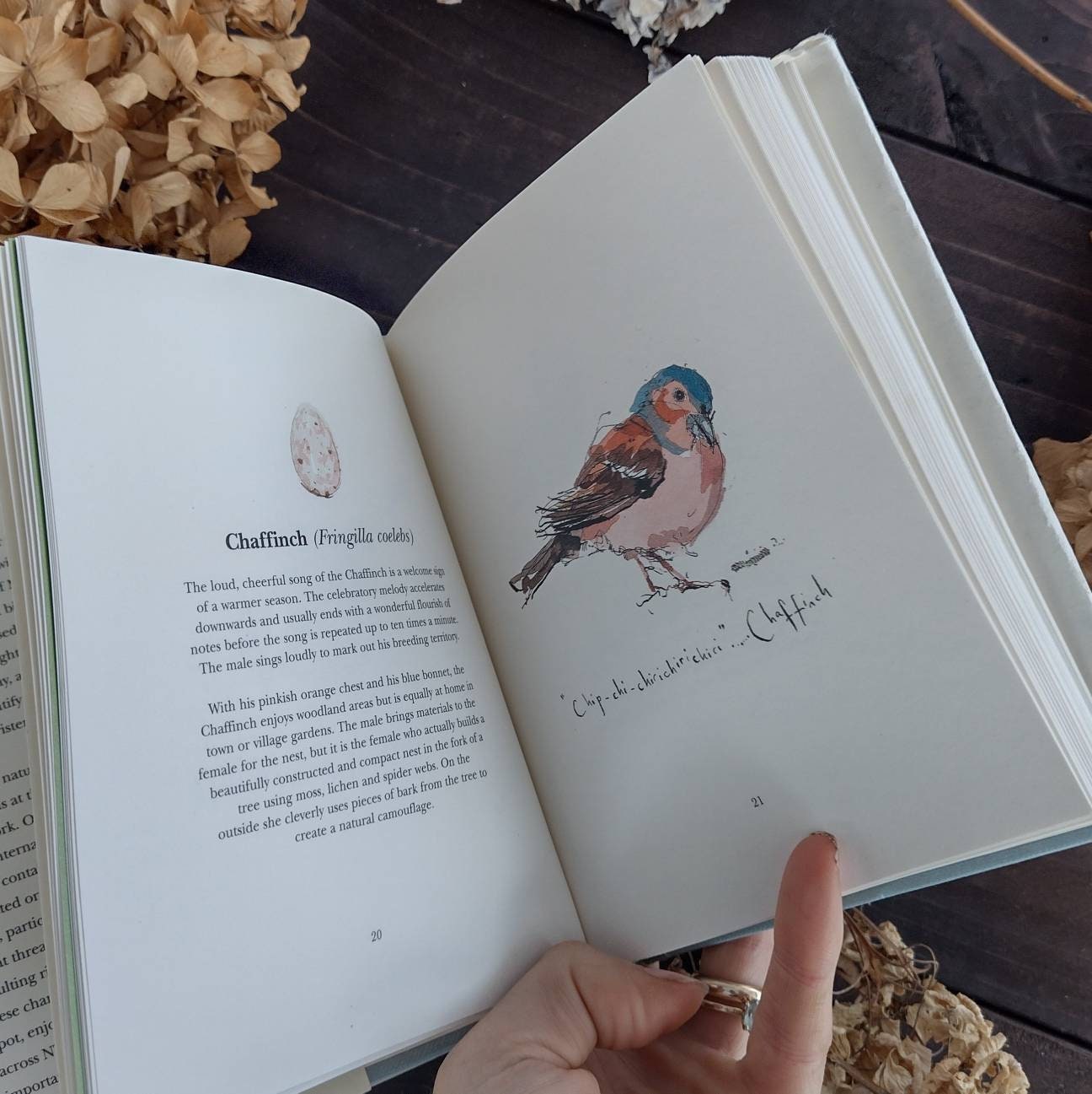 Guide to British Birds and Bird Song Bird Book - Etsy