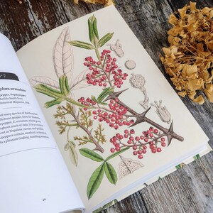 Herbal Book - Herbs and Spices -  Nature Guide -  Old Herbalism