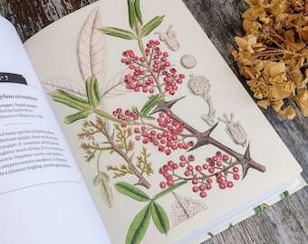 Herbal Book - Herbs and Spices -  Nature Guide -  Old Herbalism