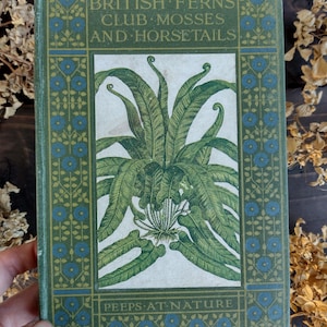 Victorian British Ferns, Club Mosses and Horsetails - Antique Book - Fern Guide - Watercolour Artist - Vintage Botanical Gift