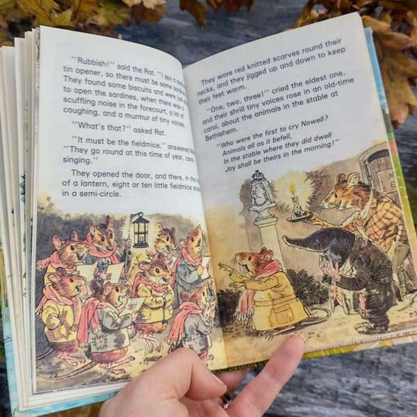 Wind in the Willows Book - Illustrated  Children's book