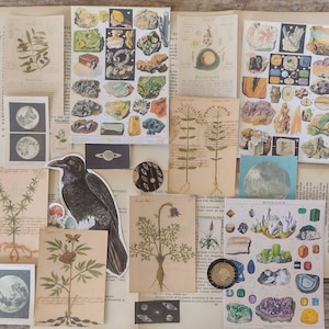 Kit de correspondencia con efímeras botánicas del Libro de las Sombras - Papeles antiguos de Grimoire - Diario basura de brujas