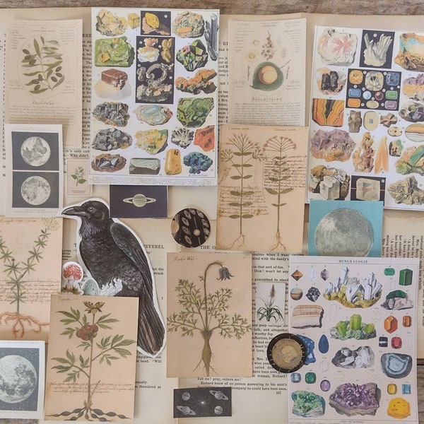 Book of Shadows botanical Ephemera pen pal kit - Grimoire  vintage papers - witch junk journal