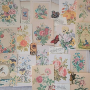 Kit de caneta MINI Language of Flowers com itens botânicos efêmeros - papéis vintage - diário de viagem - caderno de viagem