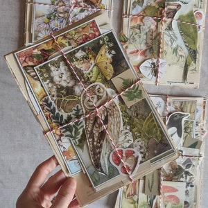 Kit de correspondencia con efímeras botánicas del Bosque Encantado: papeles antiguos, diario basura, cuaderno de viaje