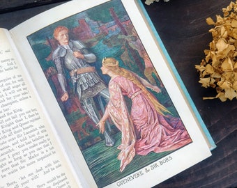 livre vintage de Romance de Lang - Livre illustré pour enfants