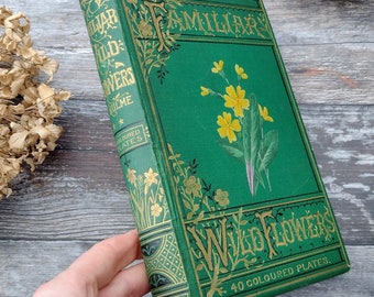 Familiar Wild Flowers, Volume 2  - Victorian antique old illustrated flower book