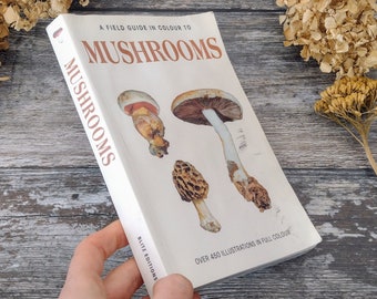 Field guide to mushrooms, illustrated vintage Nature Book