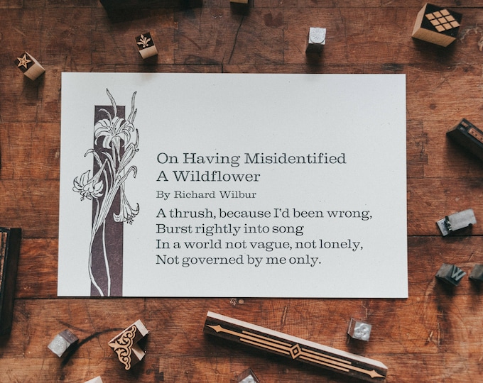 Richard Wilbur - On Having Misidentified a Wildflower