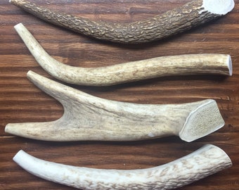 Whole Elk Antlers by the Pound | Etsy