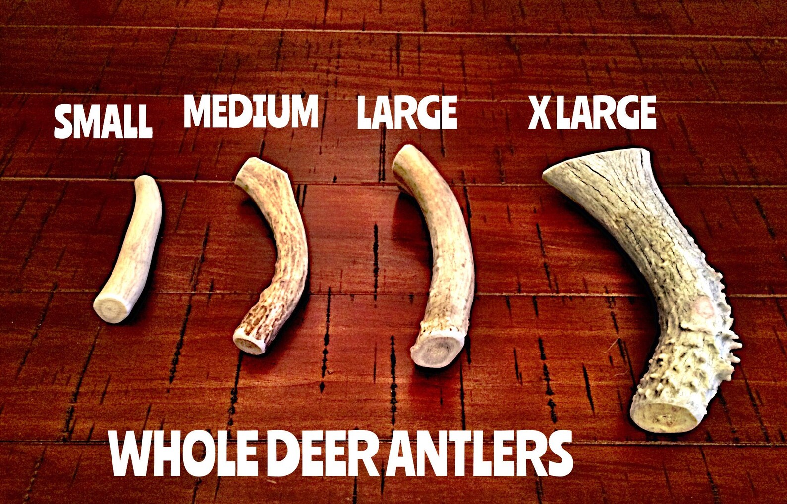Variety Packs by the Pound Whole Elk & Deer Split Antlers Etsy