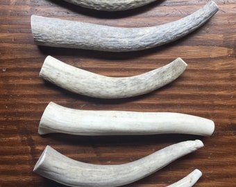 SALE!! 1 Pound of Whole Bargain Bone Elk Antlers for S/M Dogs, Free Shipping!