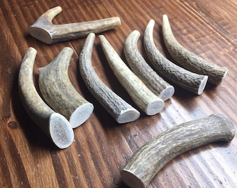 Whole Elk Antlers for S/M Dogs by the pound, Free Shipping!