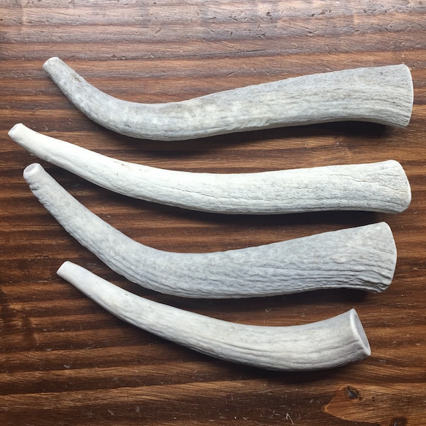 SALE!! 1 Pound of Whole Bargain Bone Elk Antlers for M/L Dogs, Free Shipping!