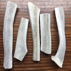 May include: Five natural antler dog chews of varying sizes and shapes. The antler chews are light brown and white in color.