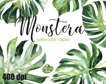 Monstera Watercolor | Etsy