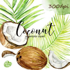 Hojas de coco y palmeras de coco, vegetación tropical exótica de verano, clipart de acuarela / clip art PNG de 300 ppp / invitaciones de fiesta de boda DIY
