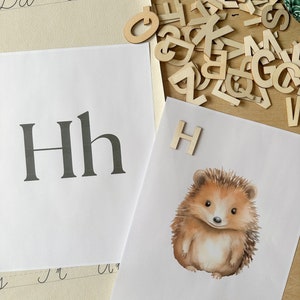 Alphabet Posters