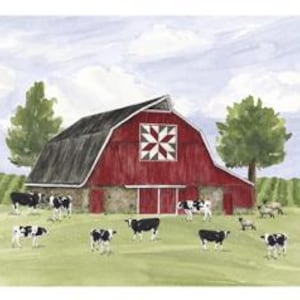 Barn Quilts by Tara Reed 2021 Riley Blake Designs Pattern PD11055 Fabric Panel ≈ 36"x44"