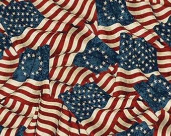 America 250 - Stonehenge by Linda Ludivico for Northcott Fabrics 28371-12 Flags Beige Multi