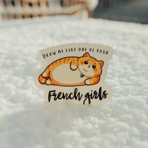 あなたのフランス人の女の子のように描いてください | ぽっちゃり猫のタイタニック号ビニールステッカー