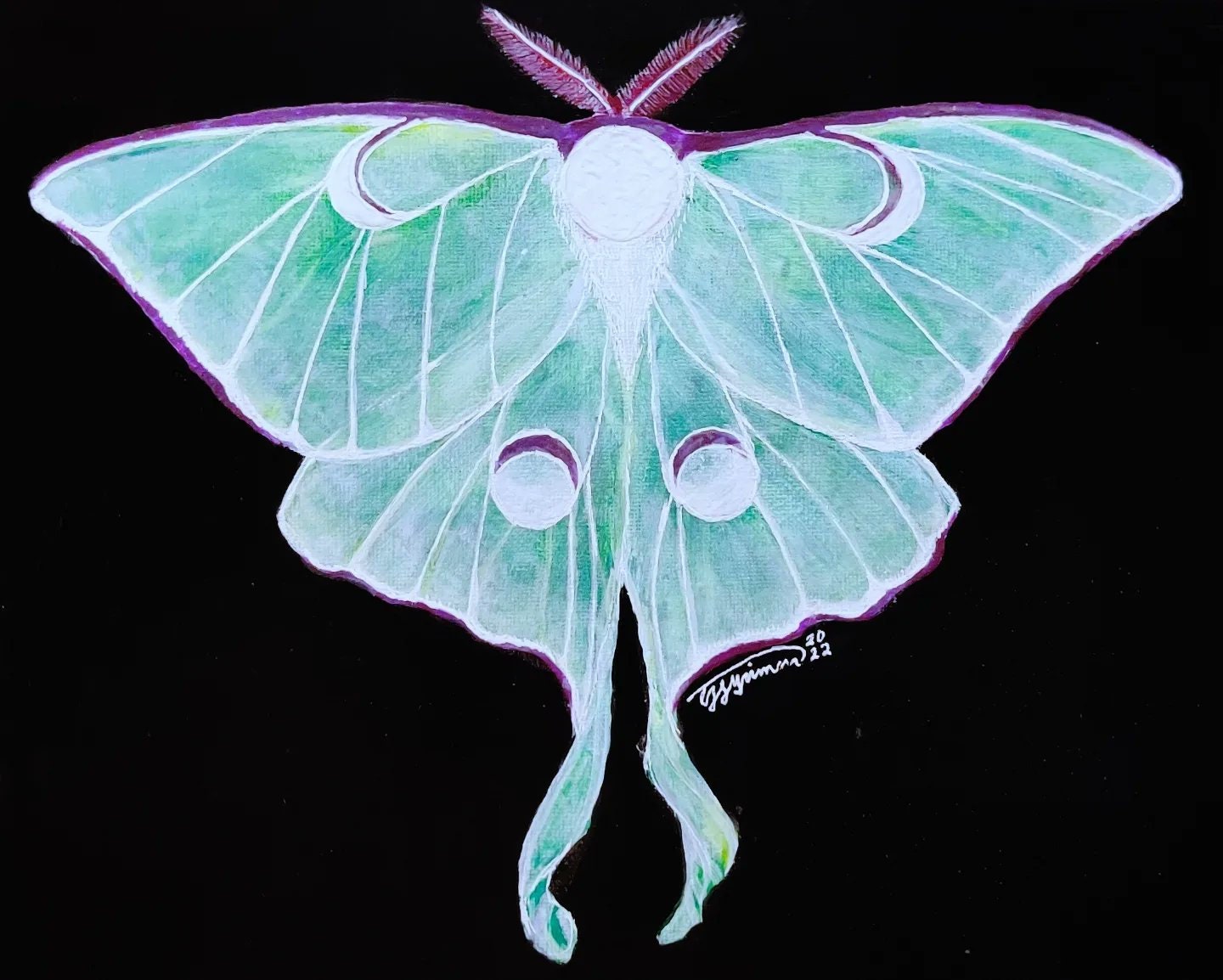Nocturnal : Luna Moon Moth Original Alcohol Markers Art Print 