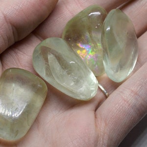Green Fluorite: Tumbled, Small (3/4IN to 1IN)