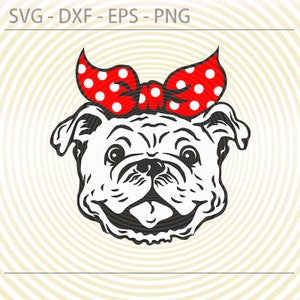 Bulldog with bandana svg Bulldog with bow svg Digital file Cutting file Bull dog svg Cut file for Cricut Silhouette Vector Svg Dxf Eps Png