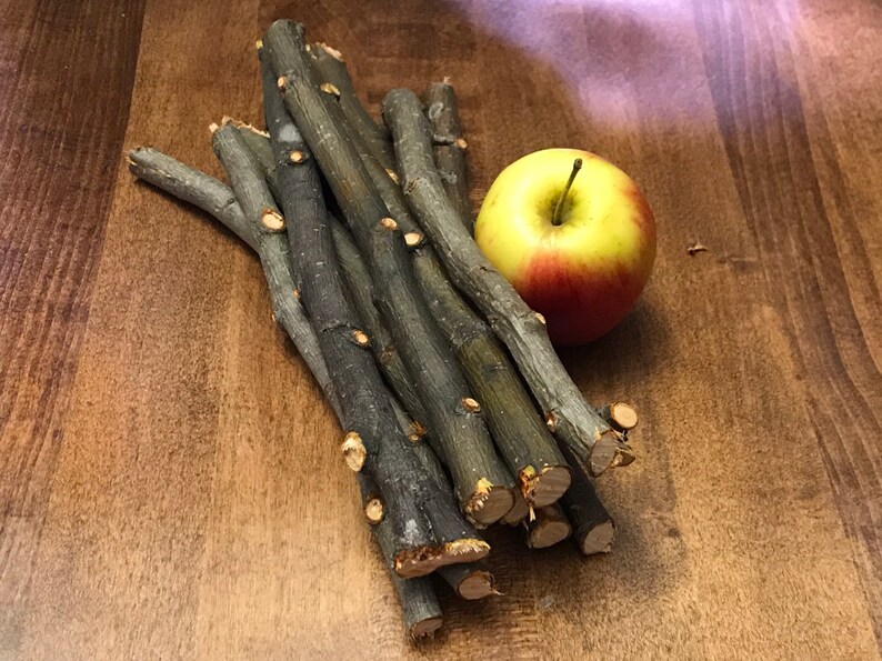 10 large Dried Apple Chew Sticks for Chinchillas Rabbits Etsy