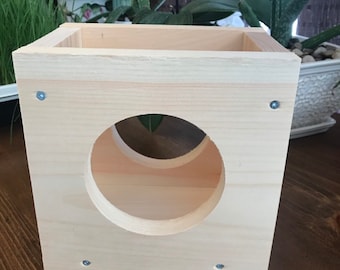 Small Hay Feeder for Guinea Pigs, Chinchillas, Bunnies, etc...
