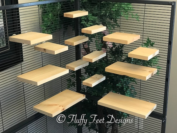 Chinchilla shelves sales