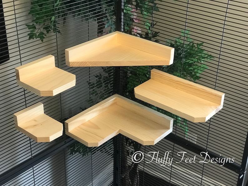 Kiln Dried Pine Chinchilla 5 Piece Ledge set with Poop Guards Etsy