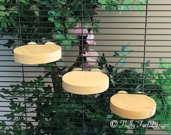 6x Circular Wood Ledges Kiln Dried Pine + Mounting Hardware