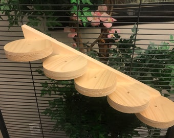 Chinchilla Ledge / Steps /  Ramp + Mounting Hardware
