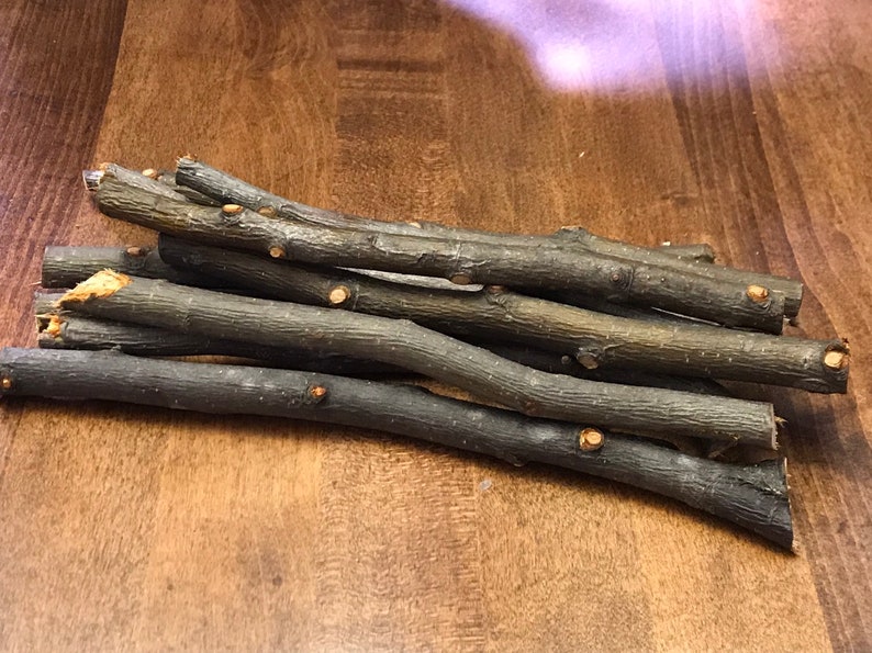 10 large Dried Apple Chew Sticks for Chinchillas Rabbits Etsy