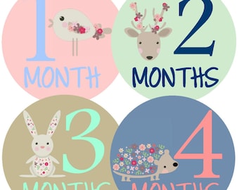 Bodysuit Monthly Stickers Baby Month Stickers Milestone Stickers Monthly Baby Stickers Photo Sticker Month by Month Baby Sticker Shower Gift