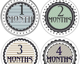 Baby Monthly Stickers Month Stickers Bodysuit Milestone Stickers Monthly Baby Stickers Photo Baby Sticker Month by Month Sticker Shower Gift