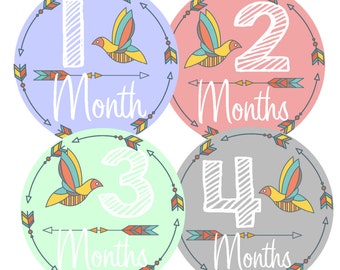 Monthly Baby Stickers Baby Month Stickers Boy or Girl Month Stickers Bodysuit Milestone Stickers  Month by Month