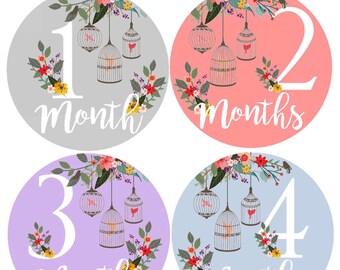 Baby Stickers Month Milestone Baby Stickers Monthly Stickers Bodysuit Monthly Stickers Month by Month Sticker Shower Gift